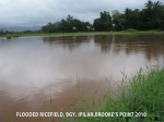 flooded farmlands, Brooke's Point